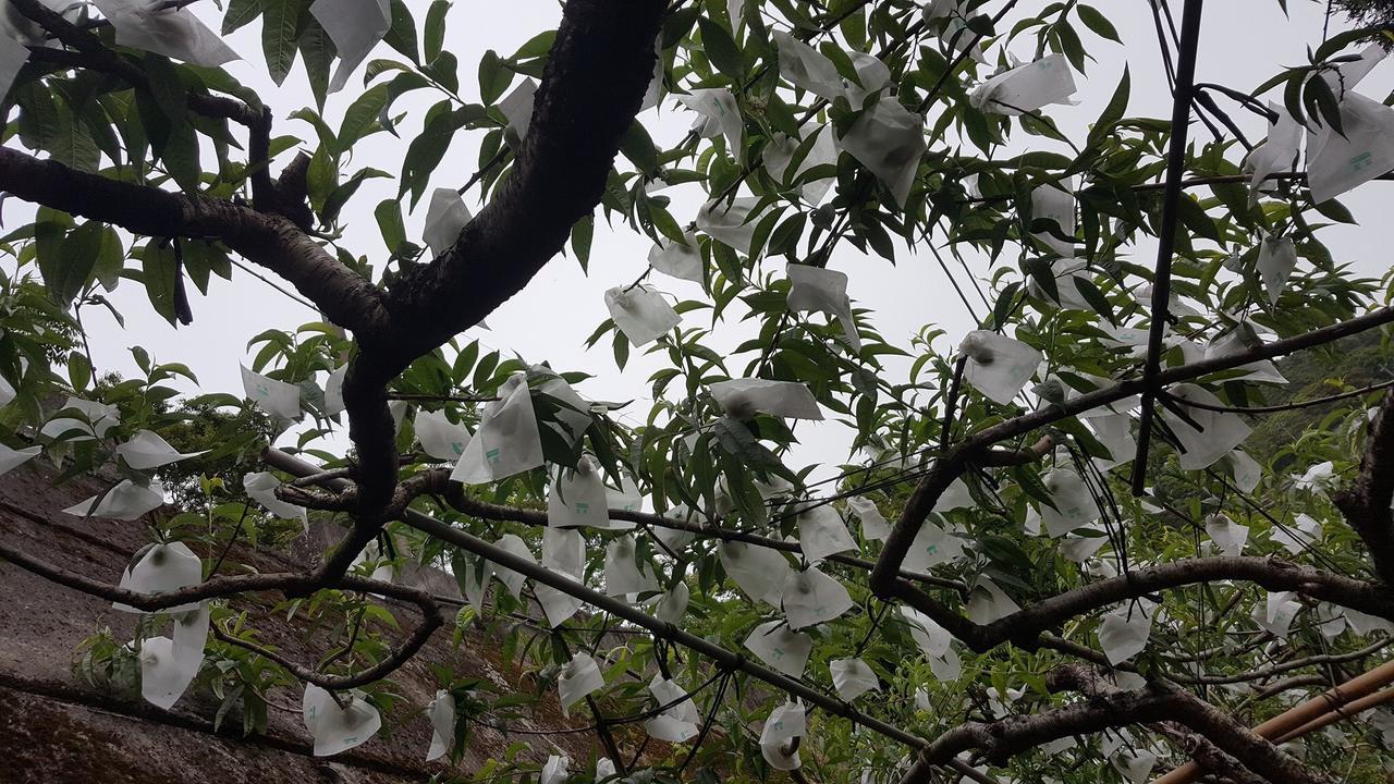 La La Shan 5.5Knong Zhuang Hualing Buitenkant foto